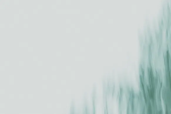 كازينو وايلد تورنادو الدعم